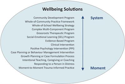 Intentional practice: a common language, approach and set of methods to design, adapt and implement contextualised wellbeing solutions